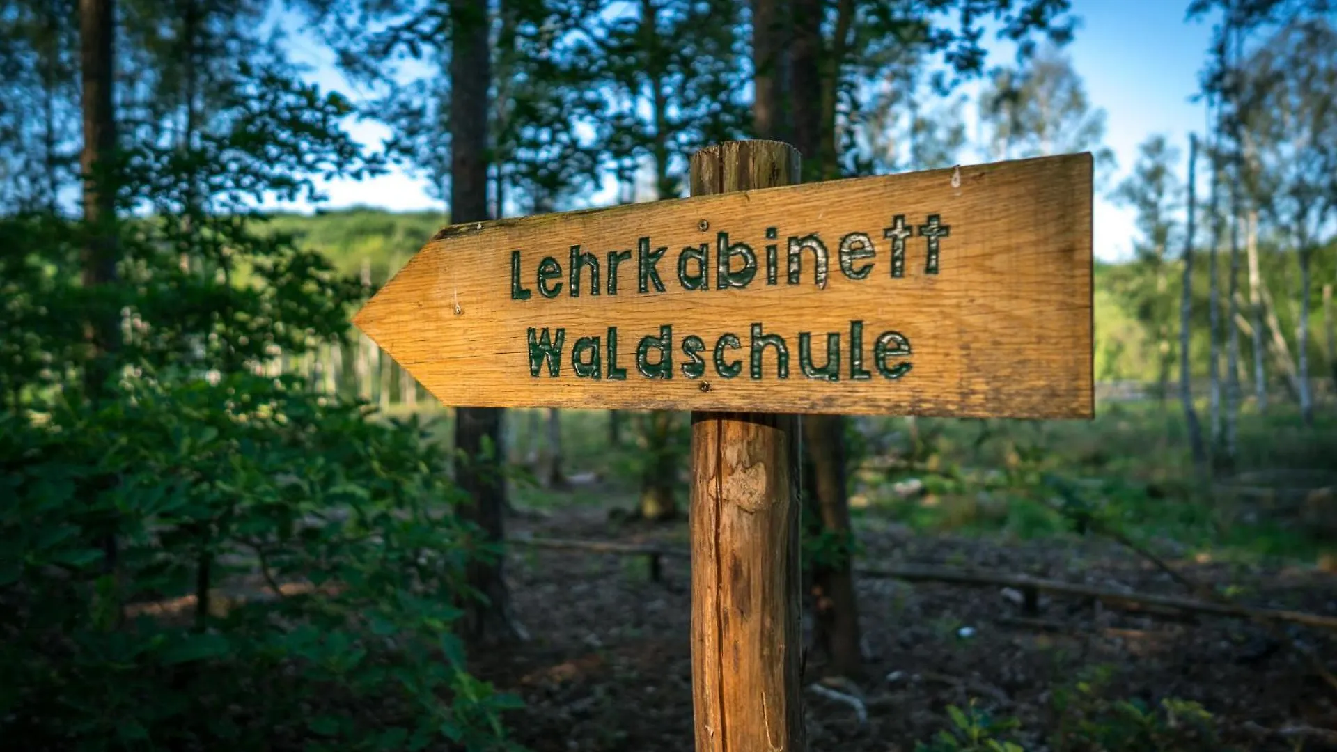 Ferienpark Ruebezahl Am Mueggelsee, Haus 18 Schlehe Mit Eigener Sauna, Idealer Ort Fuer Natur- Und Erholungssuchende, Fuer Radfahrer Und Familien Mit Kindern Berlijn Vakantiehuis
