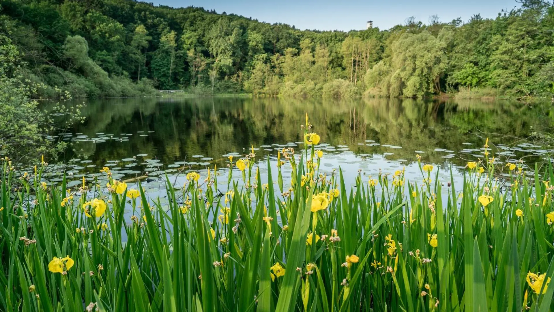Ferienpark Ruebezahl Am Mueggelsee, Haus 18 Schlehe Mit Eigener Sauna, Idealer Ort Fuer Natur- Und Erholungssuchende, Fuer Radfahrer Und Familien Mit Kindern Berlijn Vakantiehuis