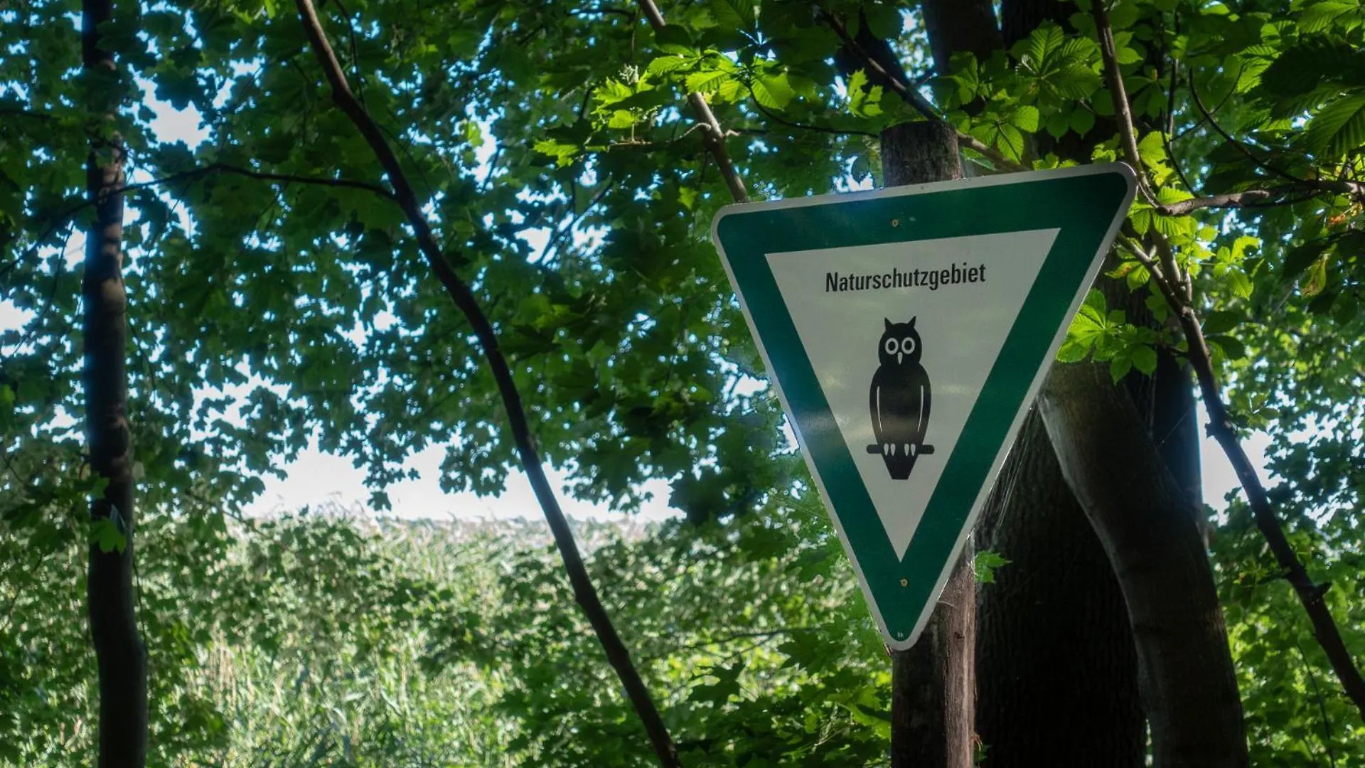 Vakantiehuis Ferienpark Ruebezahl Am Mueggelsee, Haus 18 Schlehe Mit Eigener Sauna, Idealer Ort Fuer Natur- Und Erholungssuchende, Fuer Radfahrer Und Familien Mit Kindern Berlijn